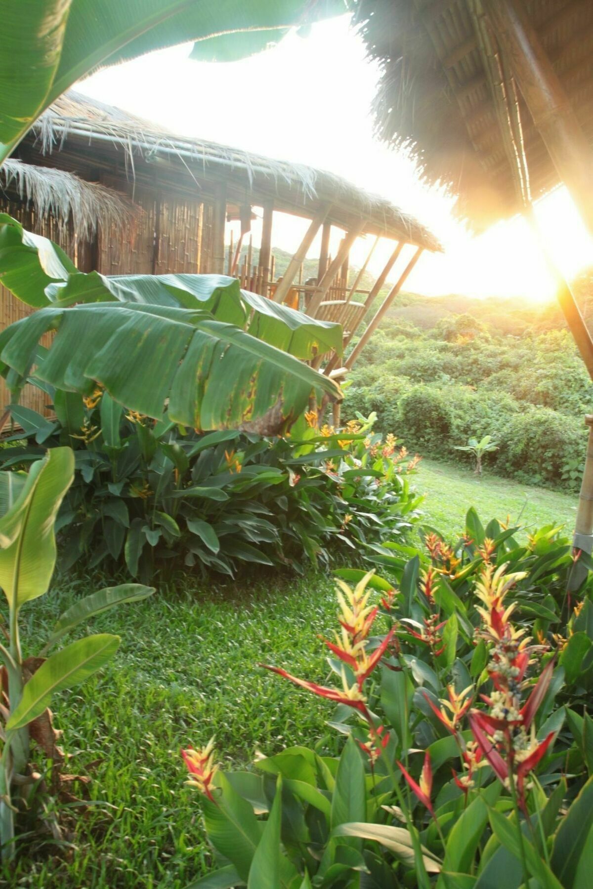 Phuree Hut Koh Phayam Esterno foto